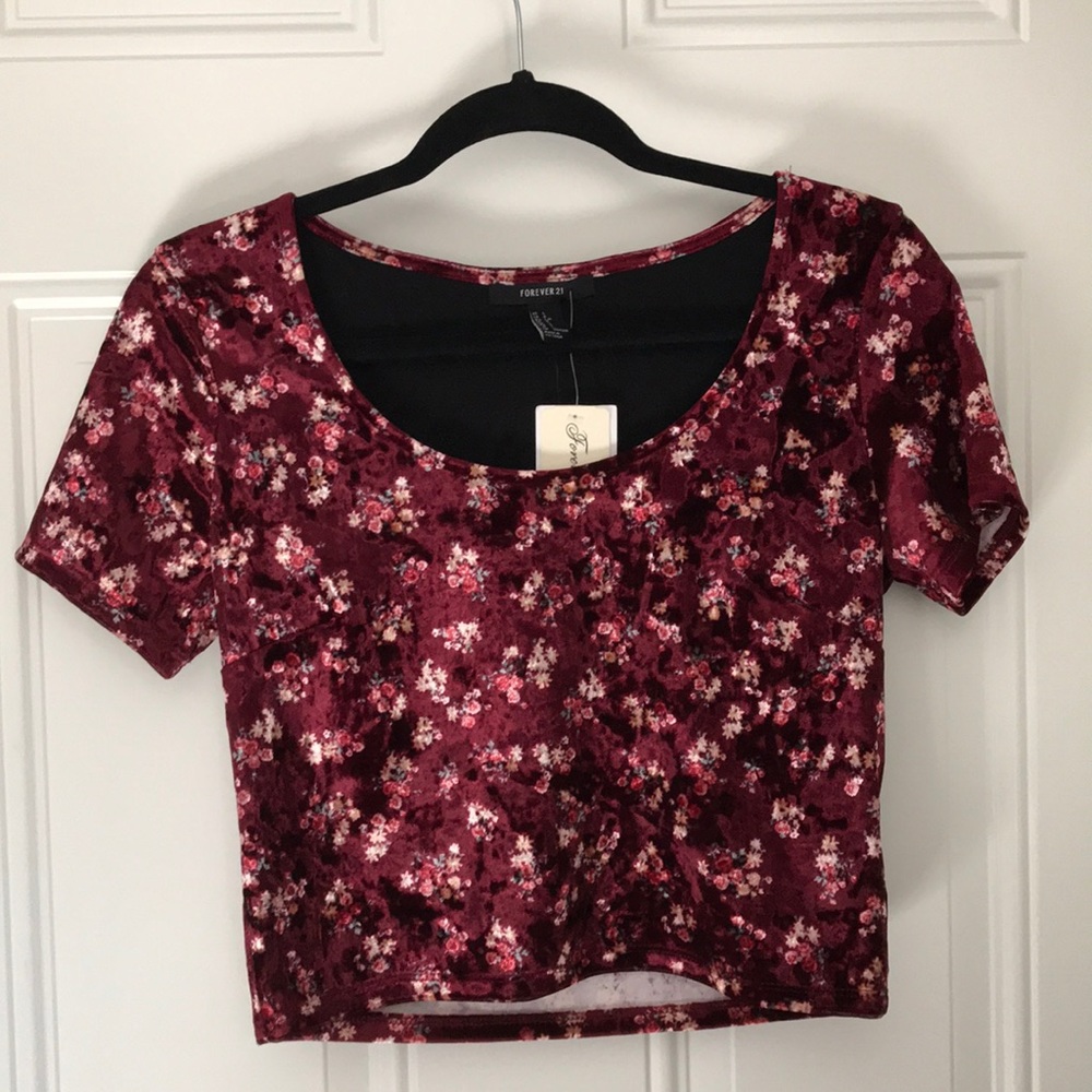 Velvet Crop Top